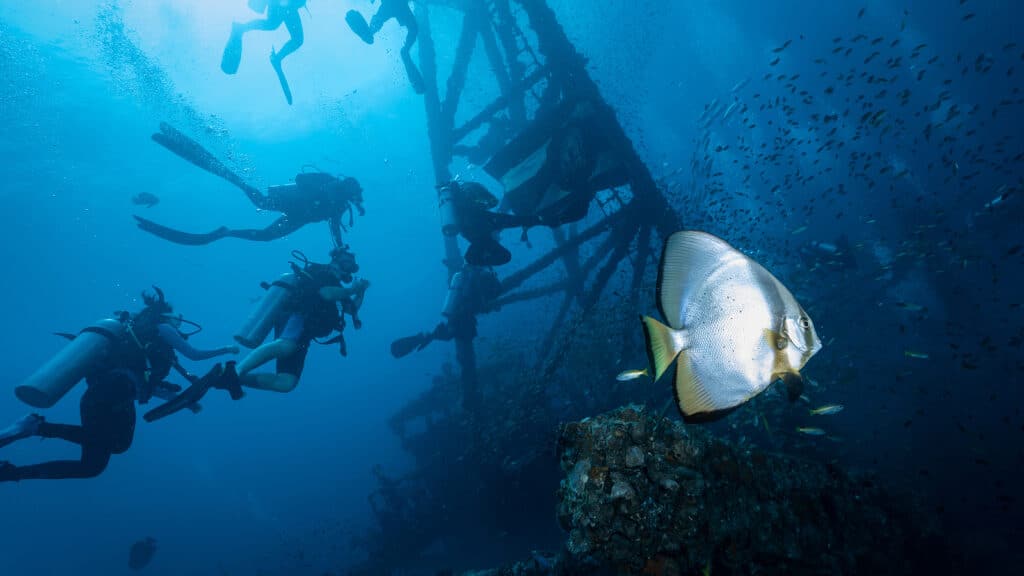 Underwater Adventures at Save On Vacations 3