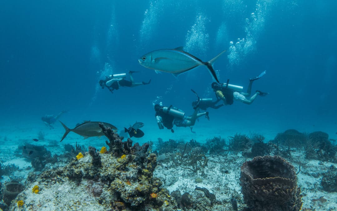 SaveOn Vacations Cozumel, The Premier Scuba Diving Destination