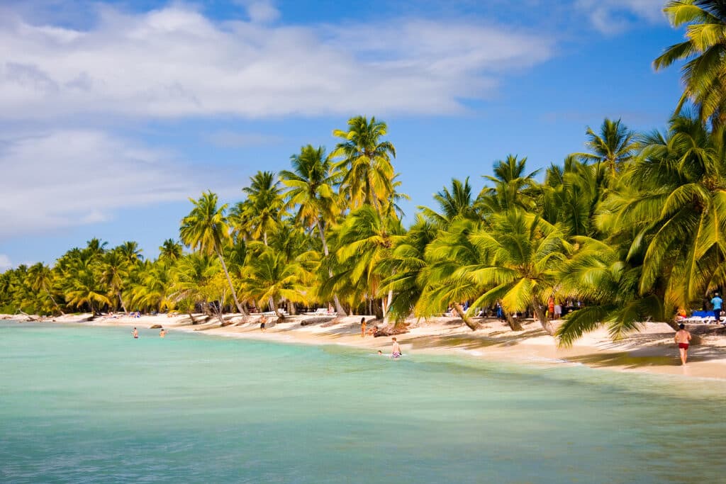 Beautiful island beach. Saona Island, Dominican republic.