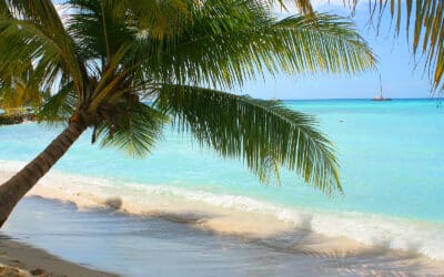 Save On Vacations Reviews Dominican Republic Highlights